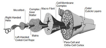 Illustration for article titled Why Cotton Kills, A Technical Explanation